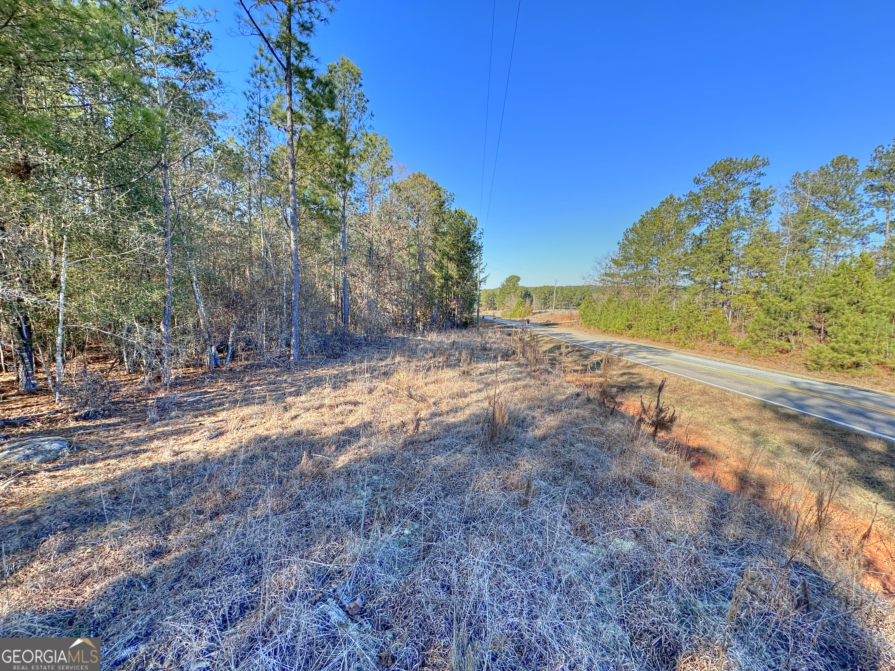 0 Salem Road Pine Mountain, GA 31822 - Photo 1 of 10 a view of a yard with a tree
