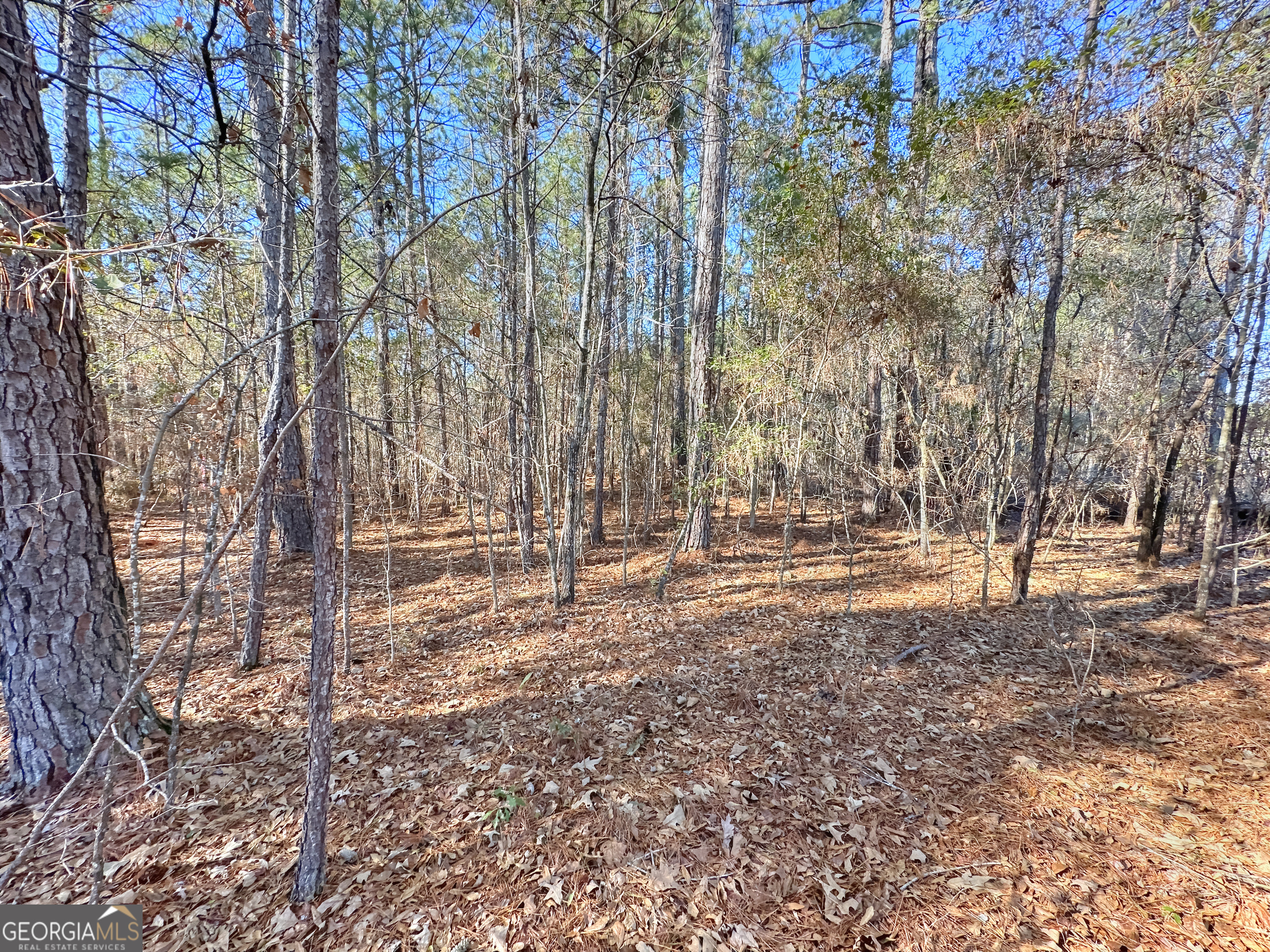 0 Salem Road Pine Mountain, GA 31822 - Photo 5 of 10 a backyard of a house with lots of green space