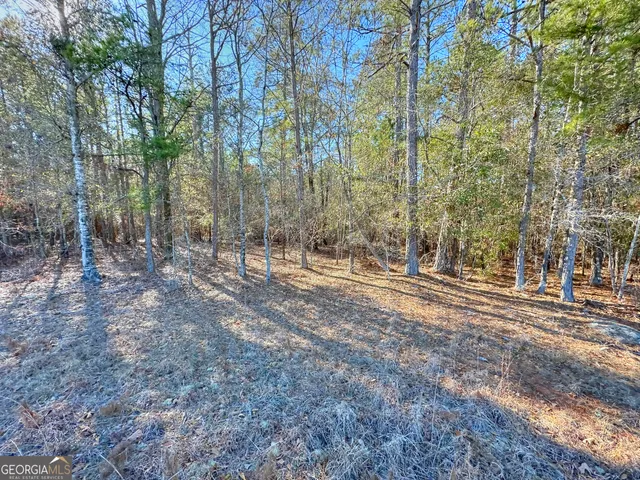 a view of outdoor space with trees