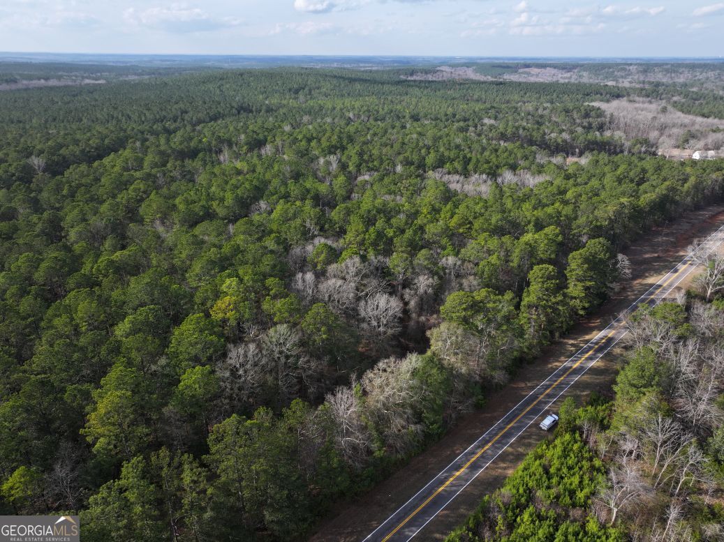 0 Salem Road Pine Mountain, GA 31822 - Photo 7 of 10 a view of a green field with lots of bushes