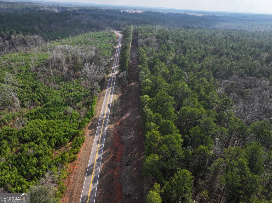 0 Salem Road Pine Mountain, GA 31822 - Photo 8 of 10 an aerial view of a house with a yard
