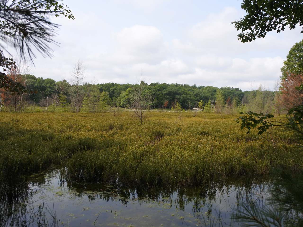 Lot A Egtvedt Road Woodruff, WI 54568 - Photo 8 of 30 Gallery Image 8