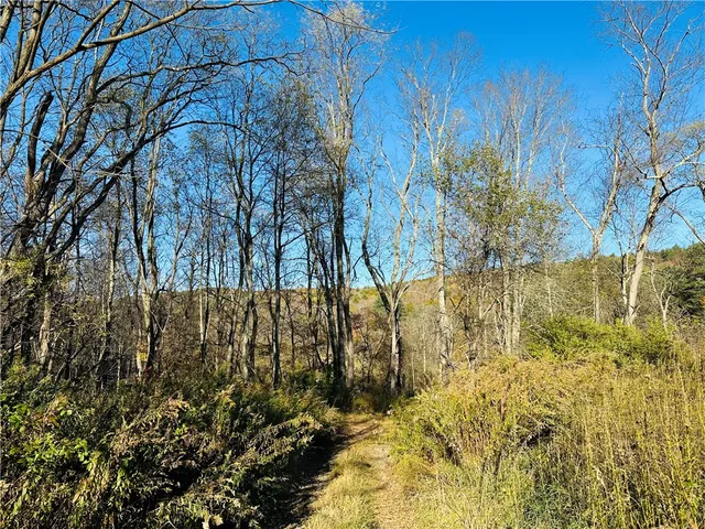 $170,000 | 276 County Road 38, Bainbridge, NY 13733