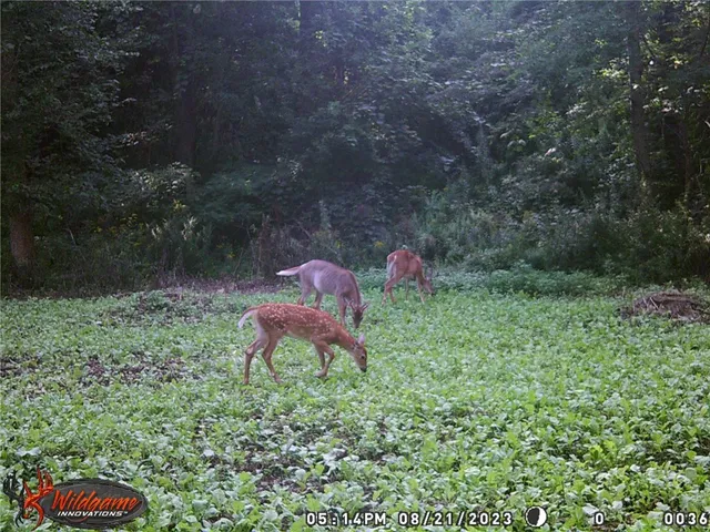 $170,000 | 276 County Road 38, Bainbridge, NY 13733