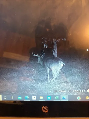 $170,000 | 276 County Road 38, Bainbridge, NY 13733