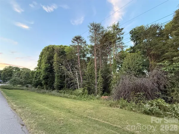 a view of a yard with trees in the background