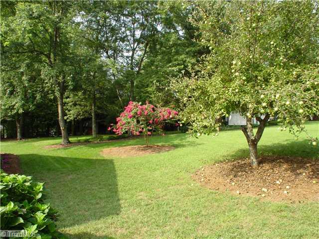 106 Applegate Road Kernersville, NC 27284 - Photo 16 of 16 Yard/Garden. This is just the right side yard an yes that is an apple tree!