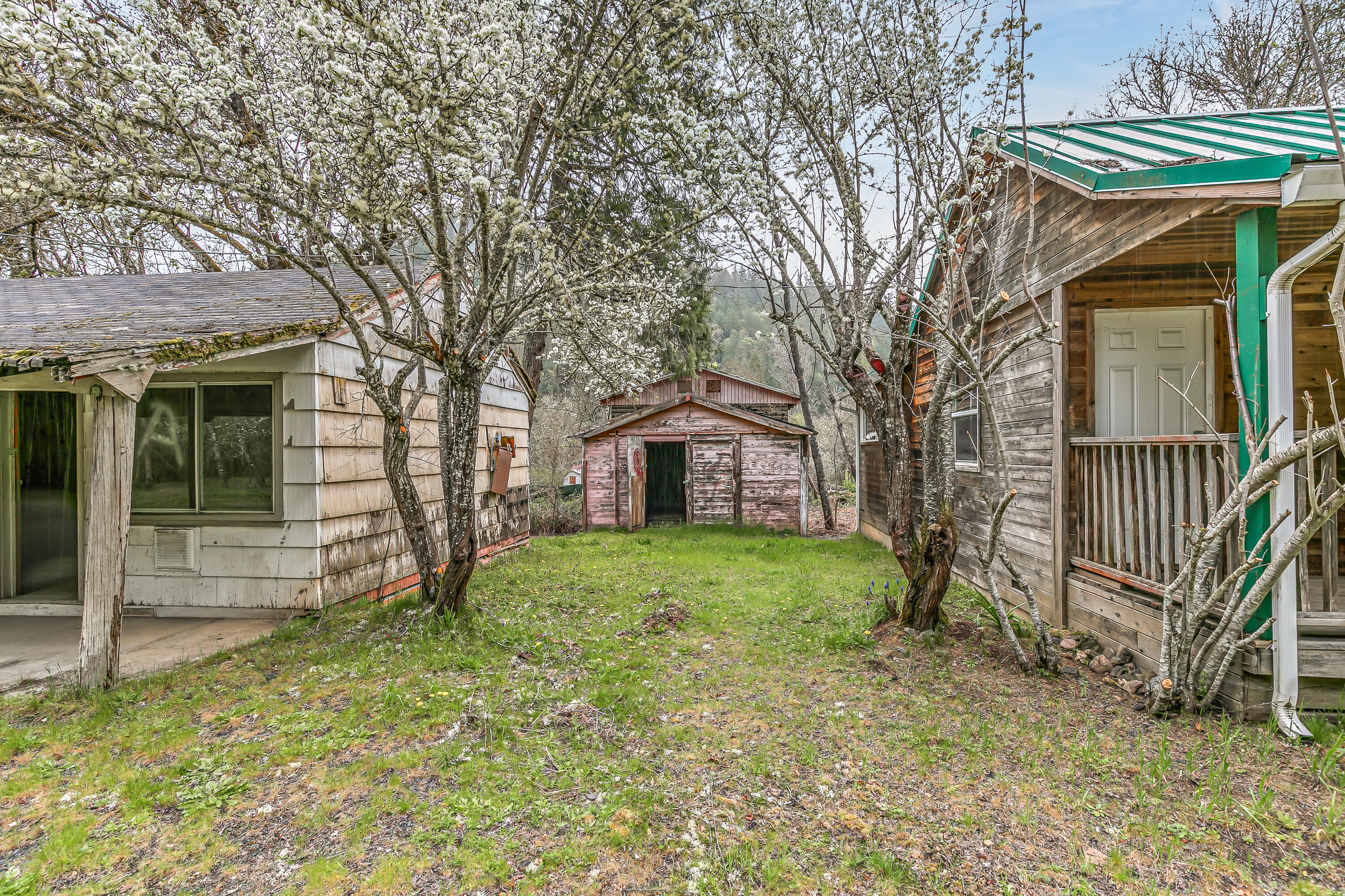 159 Bloom Road Wolf Creek, OR 97497 - Photo 23 of 38 a view of a house with a yard