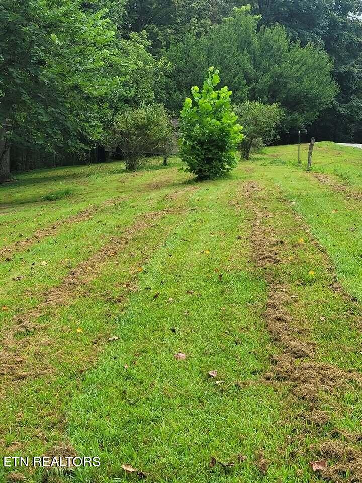 465 Sunset Rdg Lane Hilham, TN 38568 - Photo 6 of 13 656680324_2804549626604160_6118398001630