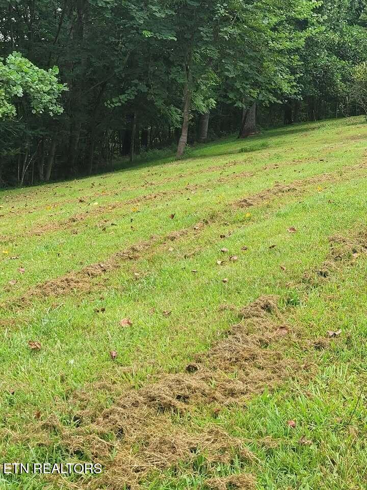 465 Sunset Rdg Lane Hilham, TN 38568 - Photo 7 of 13 658527445_1474693417723419_2788201776375