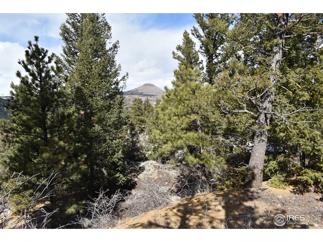 2100 Magnolia Road Nederland, CO 80466 - Photo 12 of 15 Gallery Image 12