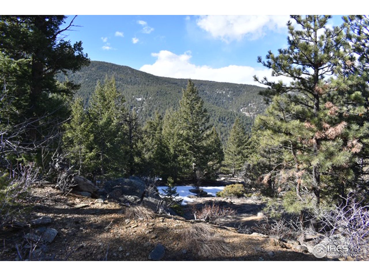 2100 Magnolia Road Nederland, CO 80466 - Photo 14 of 15 Gallery Image 14