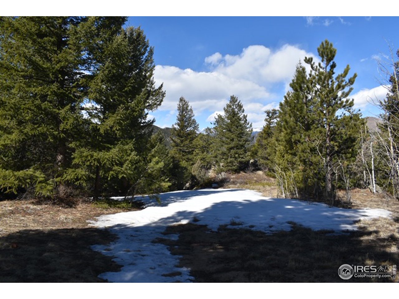 2100 Magnolia Road Nederland, CO 80466 - Photo 2 of 15 Gallery Image 2
