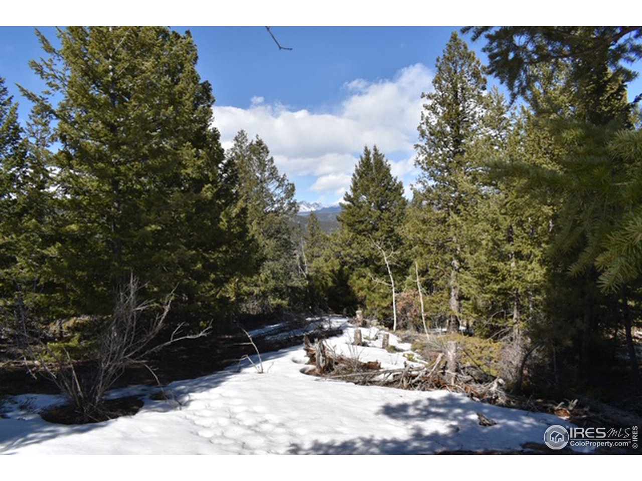 2100 Magnolia Road Nederland, CO 80466 - Photo 3 of 15 Gallery Image 3