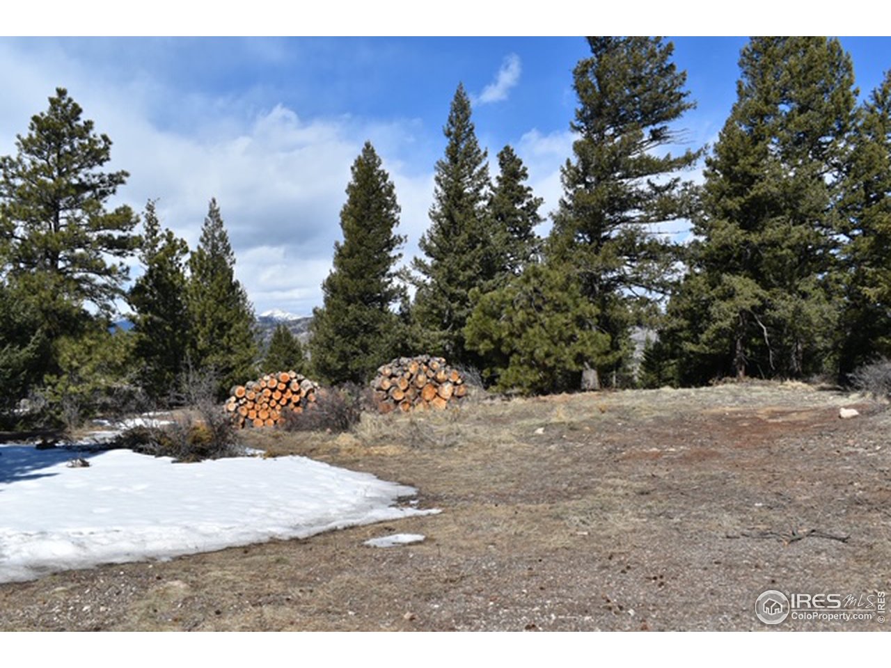 2100 Magnolia Road Nederland, CO 80466 - Photo 6 of 15 Gallery Image 6