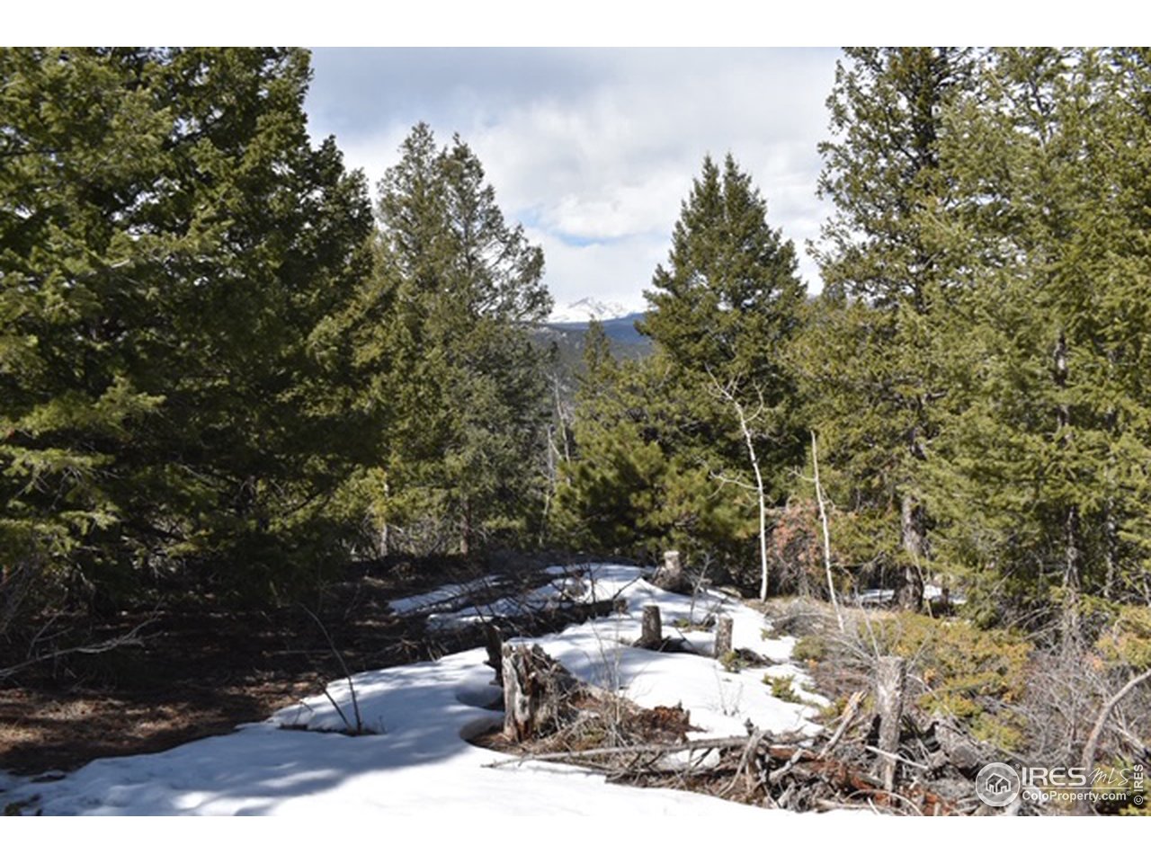 2100 Magnolia Road Nederland, CO 80466 - Photo 7 of 15 Gallery Image 7