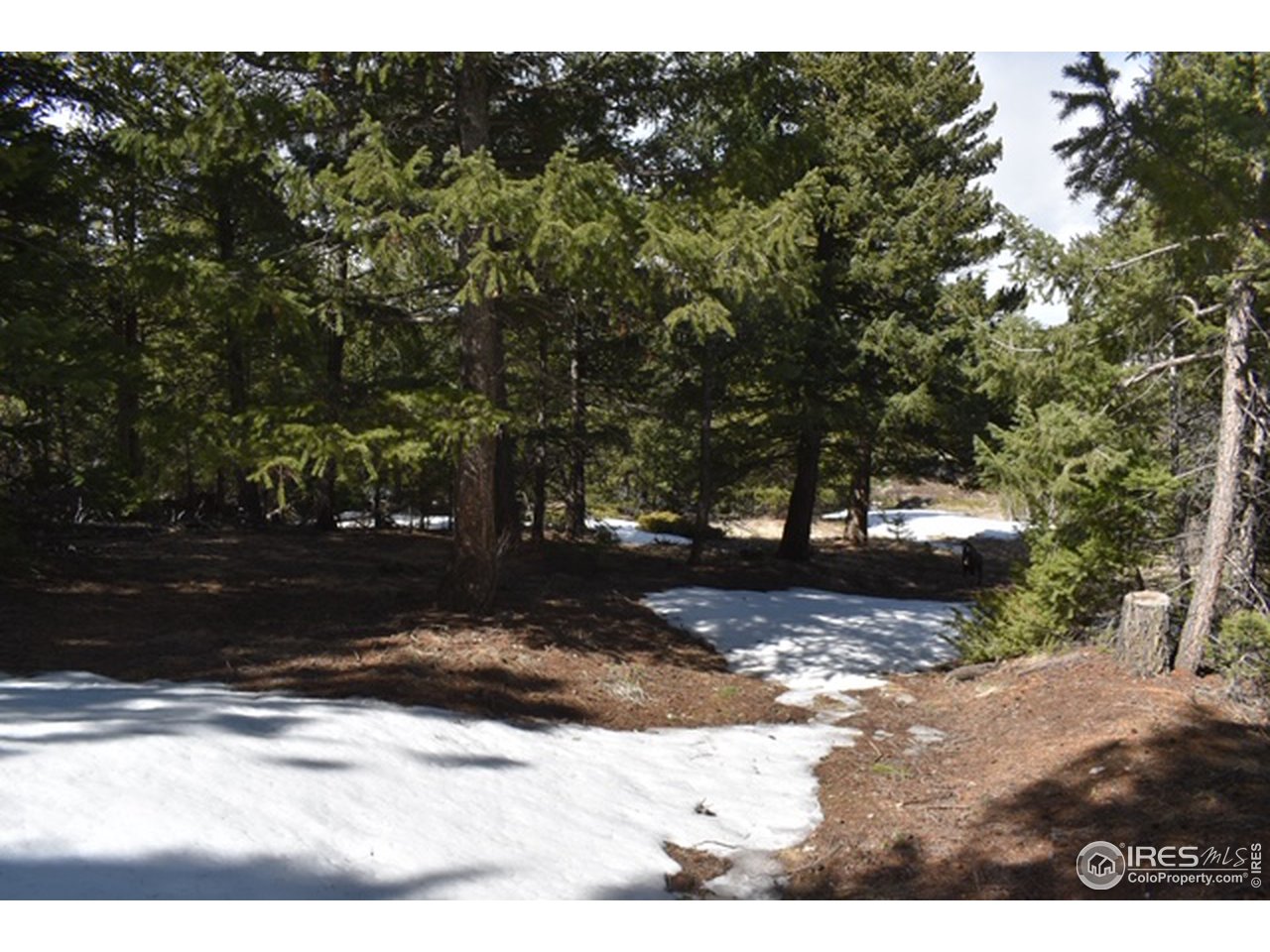 2100 Magnolia Road Nederland, CO 80466 - Photo 8 of 15 Gallery Image 8