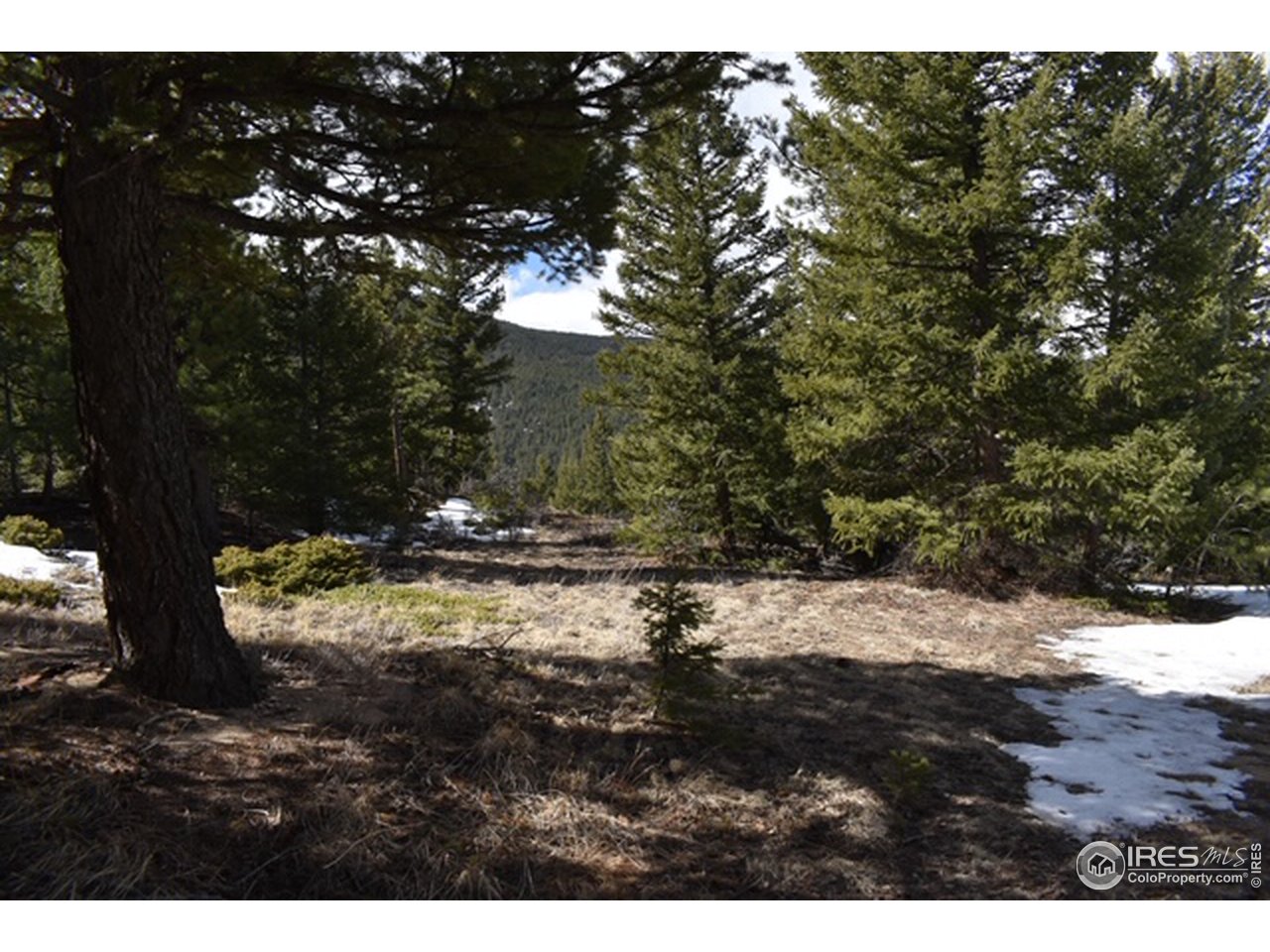 2100 Magnolia Road Nederland, CO 80466 - Photo 9 of 15 Gallery Image 9