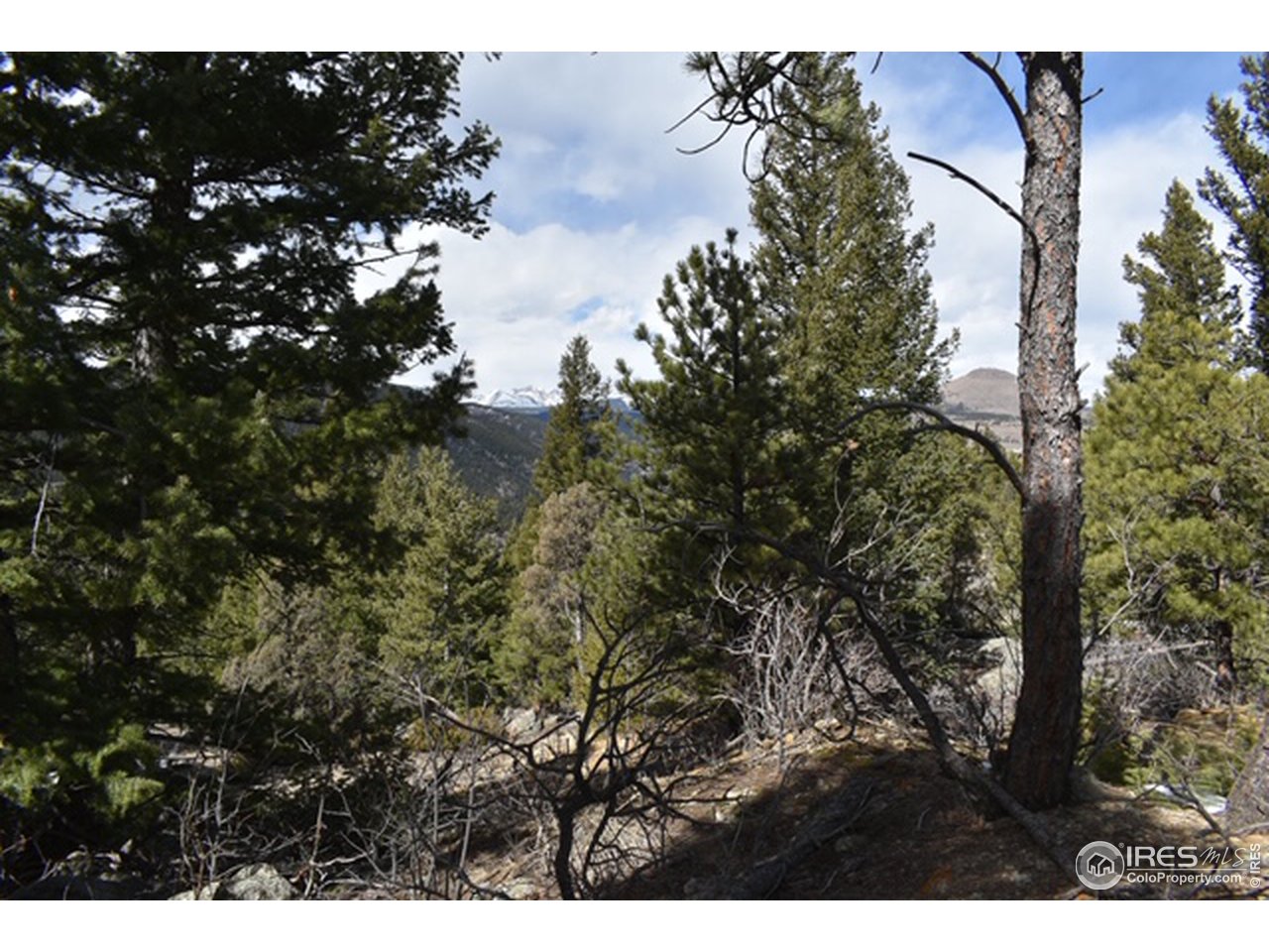 2100 Magnolia Road Nederland, CO 80466 - Photo 10 of 15 Gallery Image 10