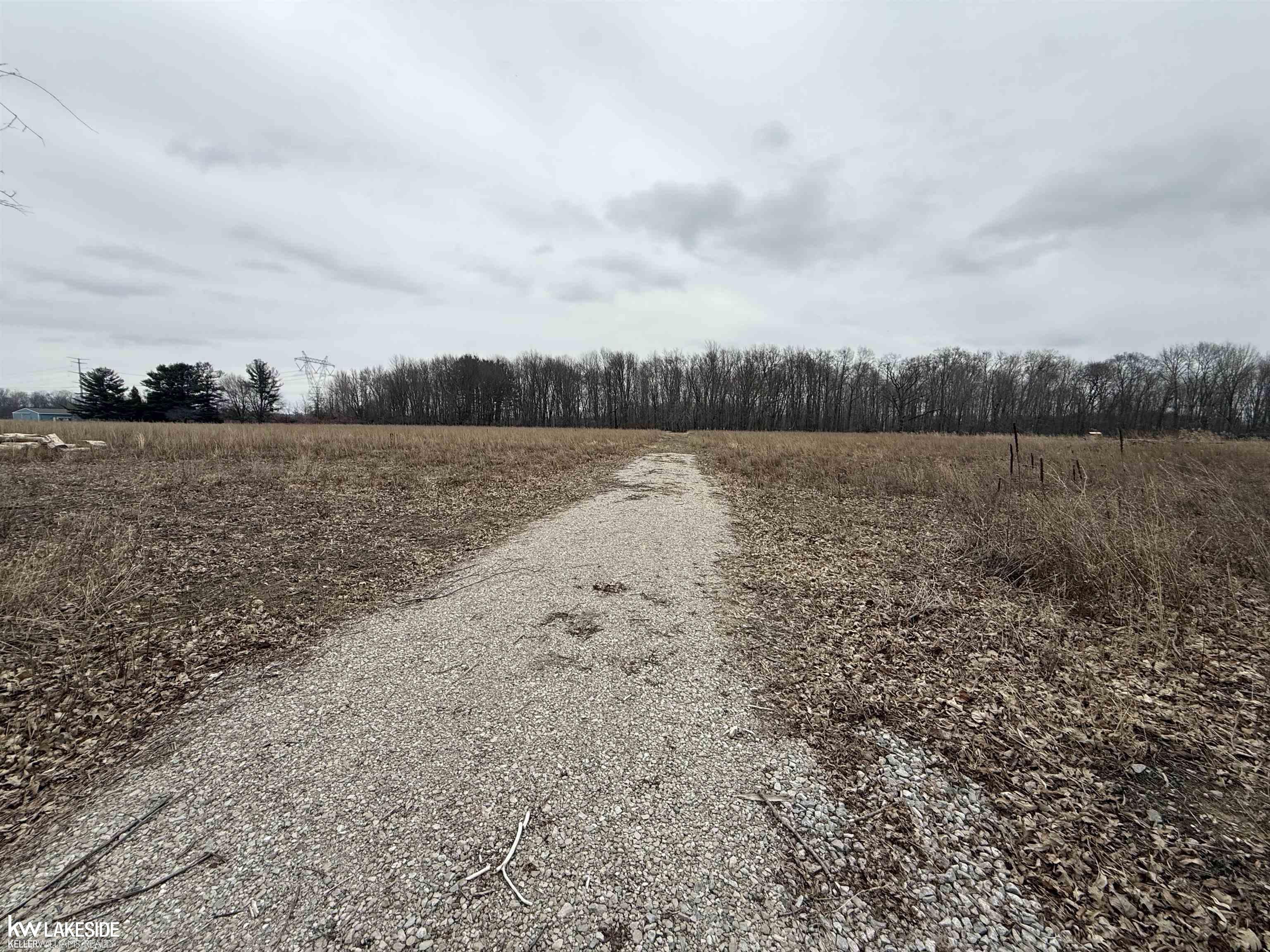 0 Cove Road Goodells, MI 48027 - Photo 10 of 25