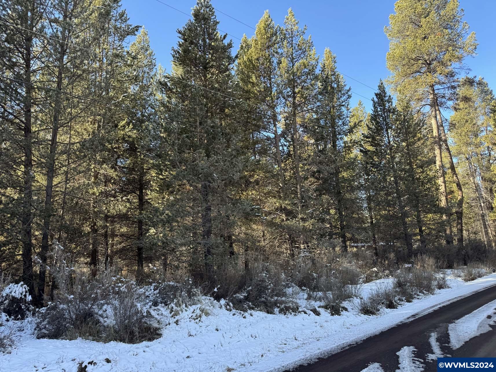 Brook Trout Lane Chiloquin, OR 97624 - Photo 1 of 18