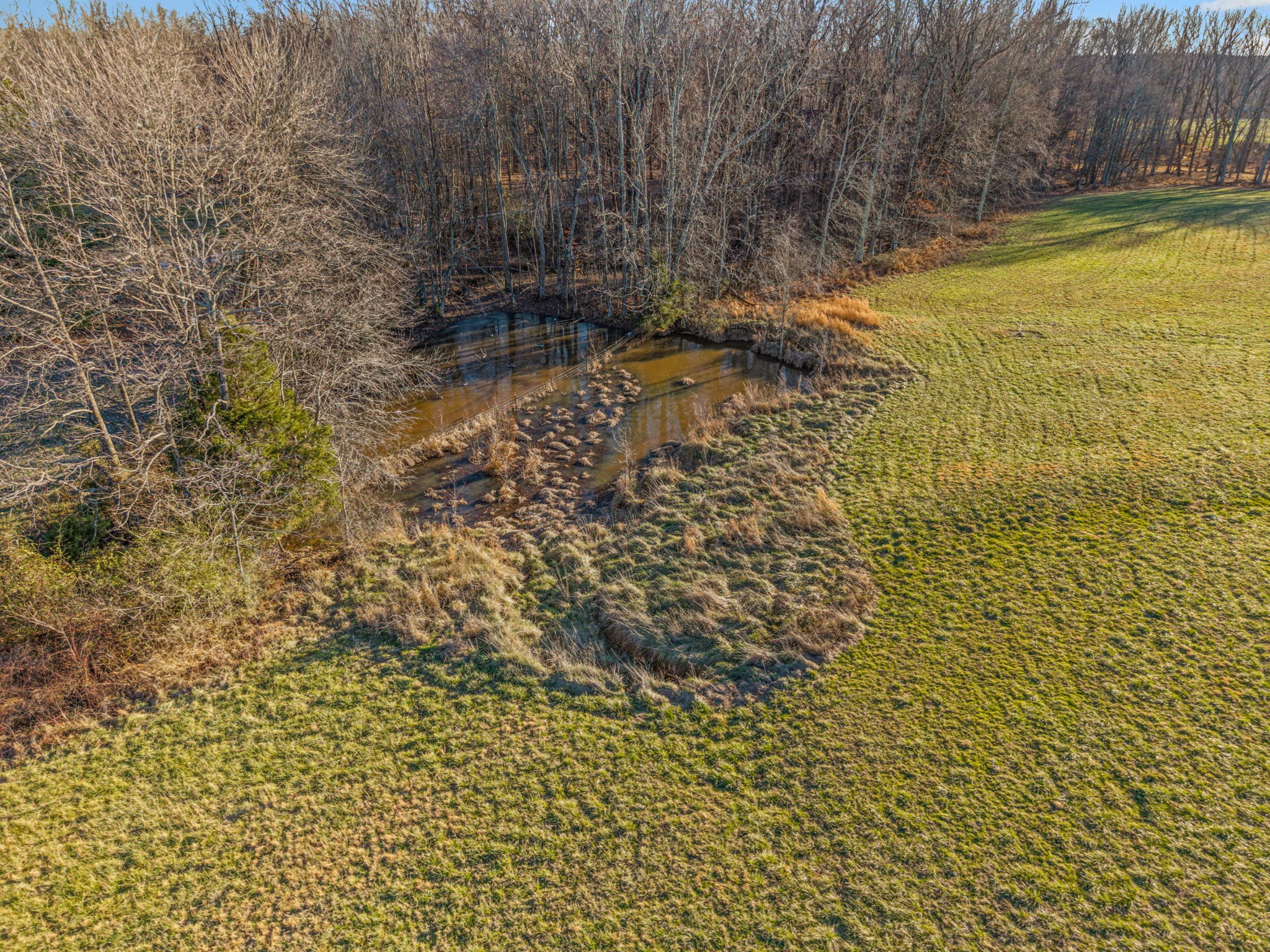 5790 Flewellyn Road Springfield, TN 37172 - Photo 16 of 18 a view of a pathway both side of yard