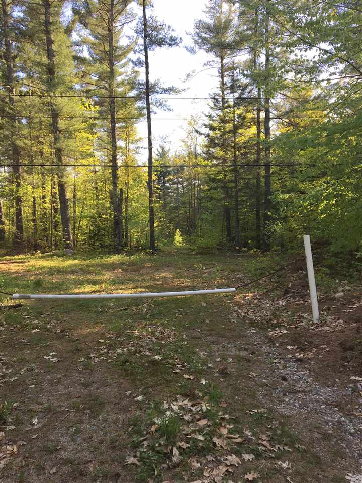 565 Browns Ridge Road Wolfeboro, NH 03894 - Photo 5 of 12