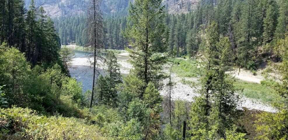 3733 Sand Creek Road, Unit V Kettle Falls, WA 99141 - Photo 14 of 18 Gallery Image 14