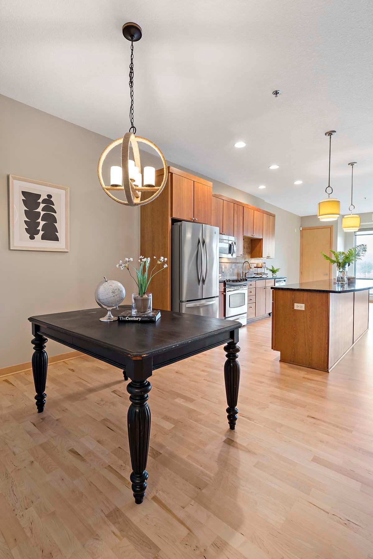 240 Spring Street, Unit 211 St. Paul, MN 55102 - Photo 13 of 43 Gallery Image 13