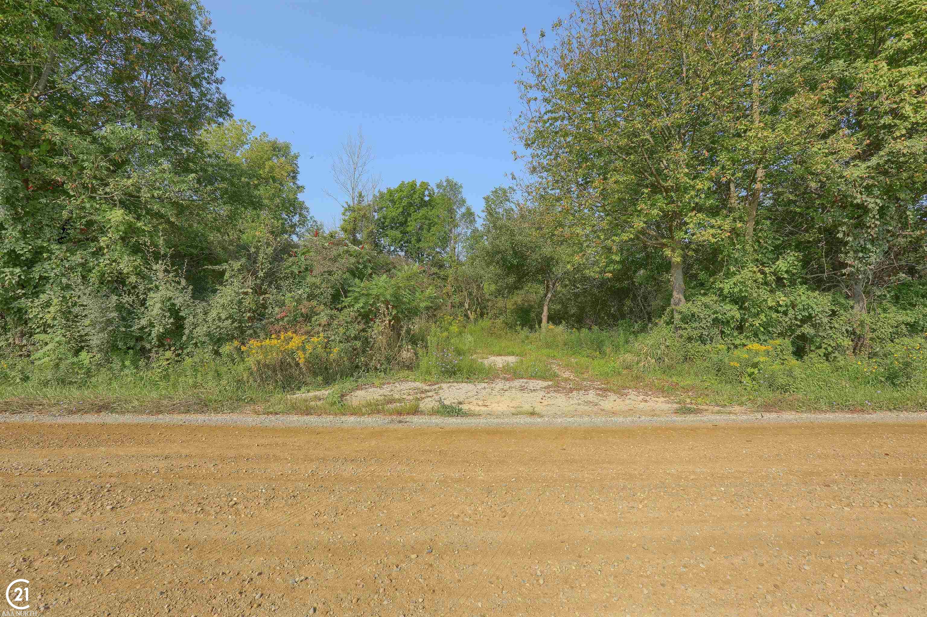 471-475 North Youngs Road Attica, MI 48412 - Photo 7 of 44 Gallery Image 7