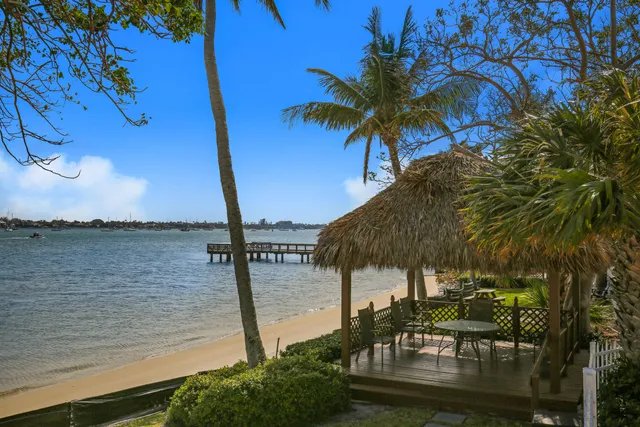a view of a lake with a palm tree