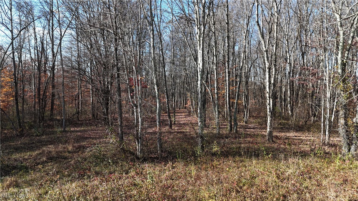 2305 Hardesty Road Norwich, OH 43767 - Photo 14 of 35 View of landscape