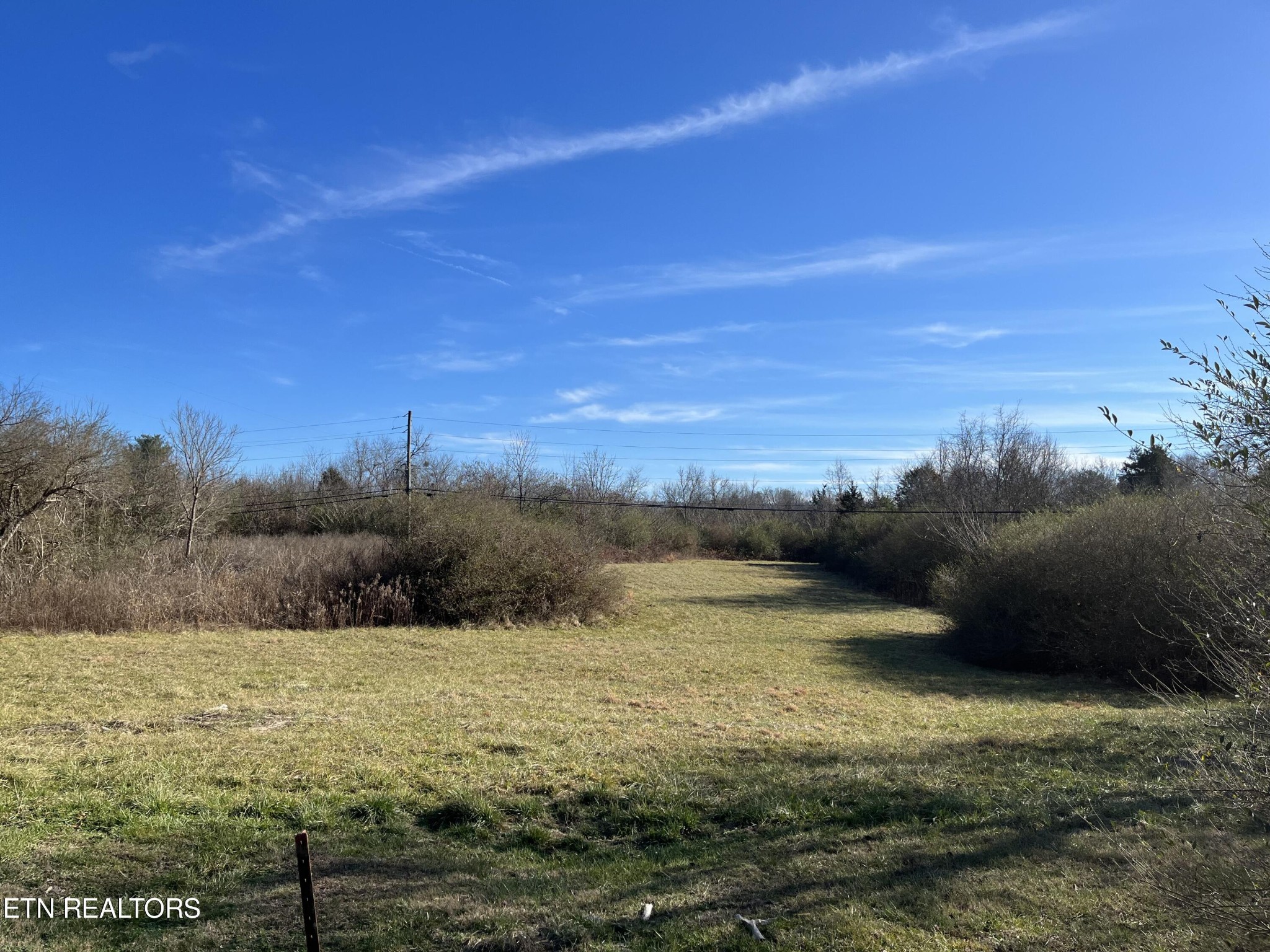 0 Fairview Road Tellico Plains, TN 37385 - Photo 8 of 17 Gallery Image 8