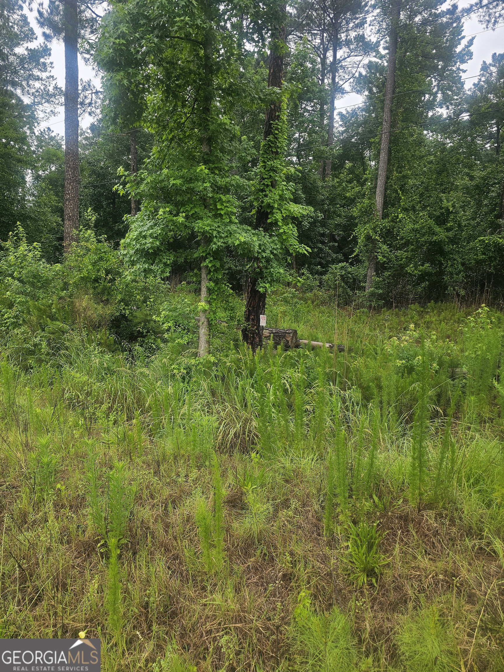 2755 Peeksville Road Locust Grove, GA 30248 - Photo 8 of 14