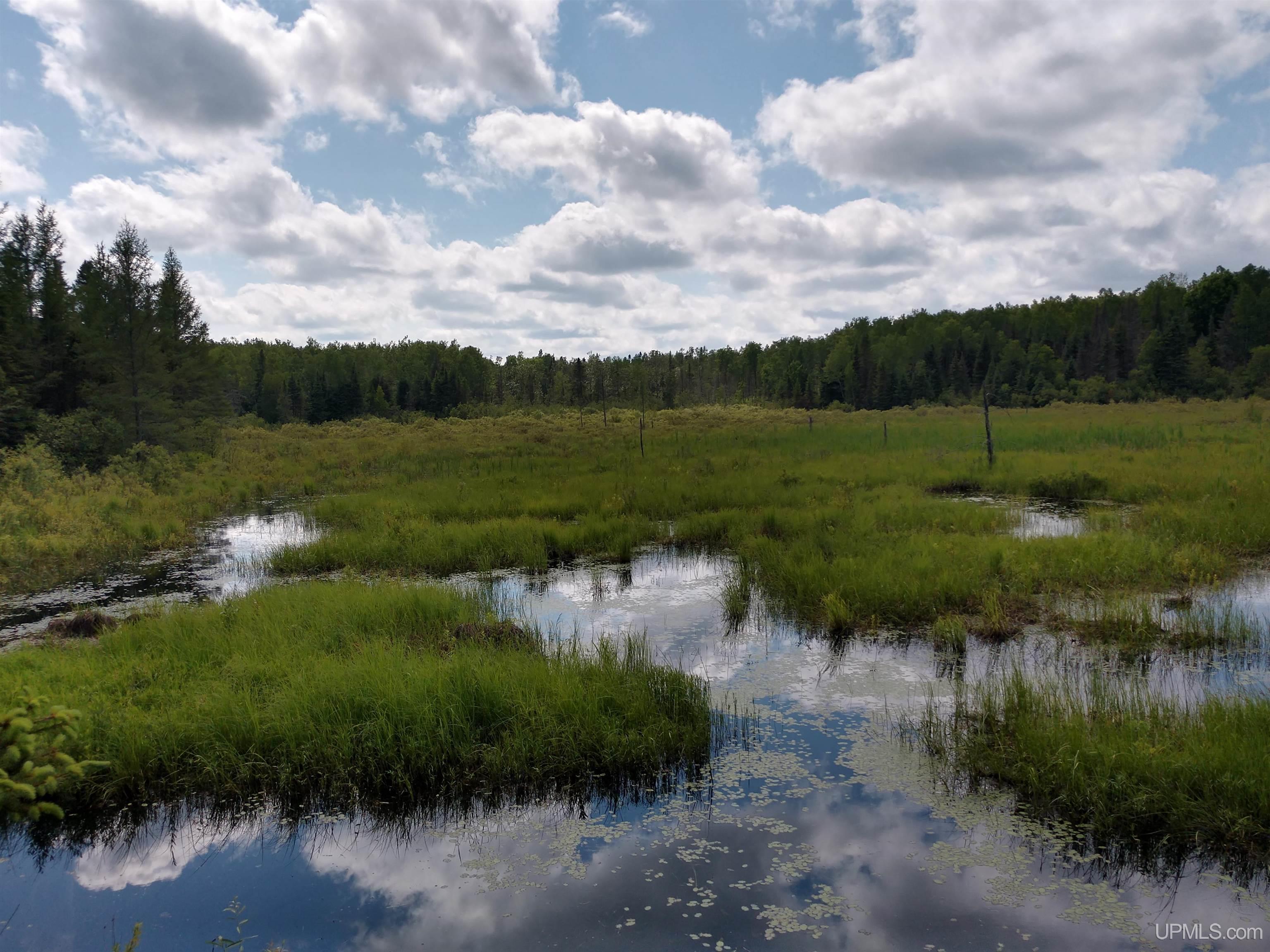 601 County Road 601 Road Republic, MI 49879 - Photo 17 of 60