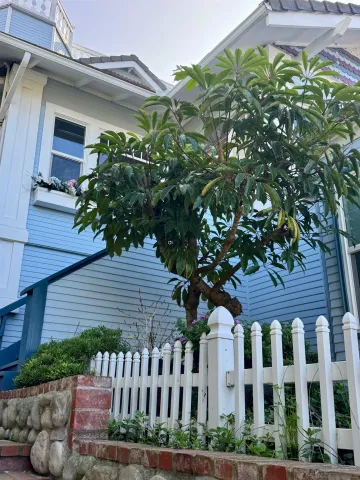 $13,000 | 1357 Olivet Street, La Jolla, CA 92037