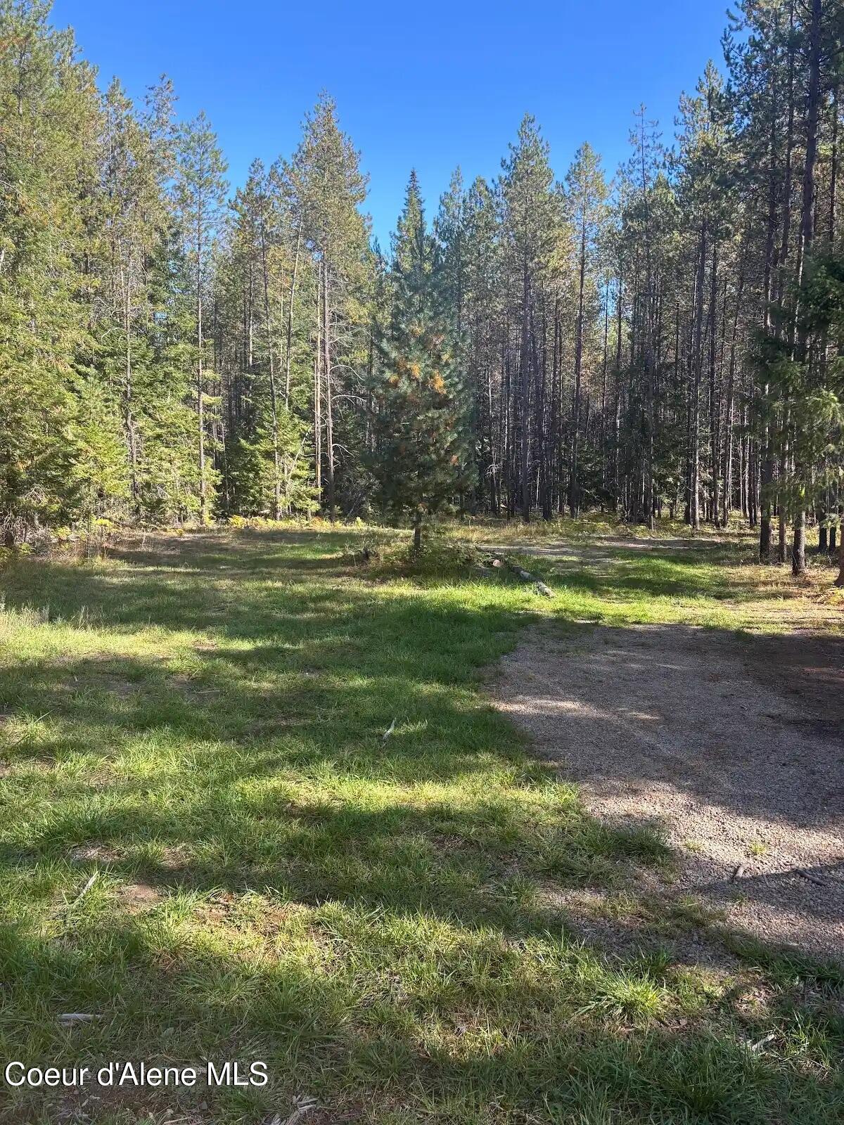 11271 Eastside Road Priest River, ID 83856 - Photo 25 of 39 Lawn