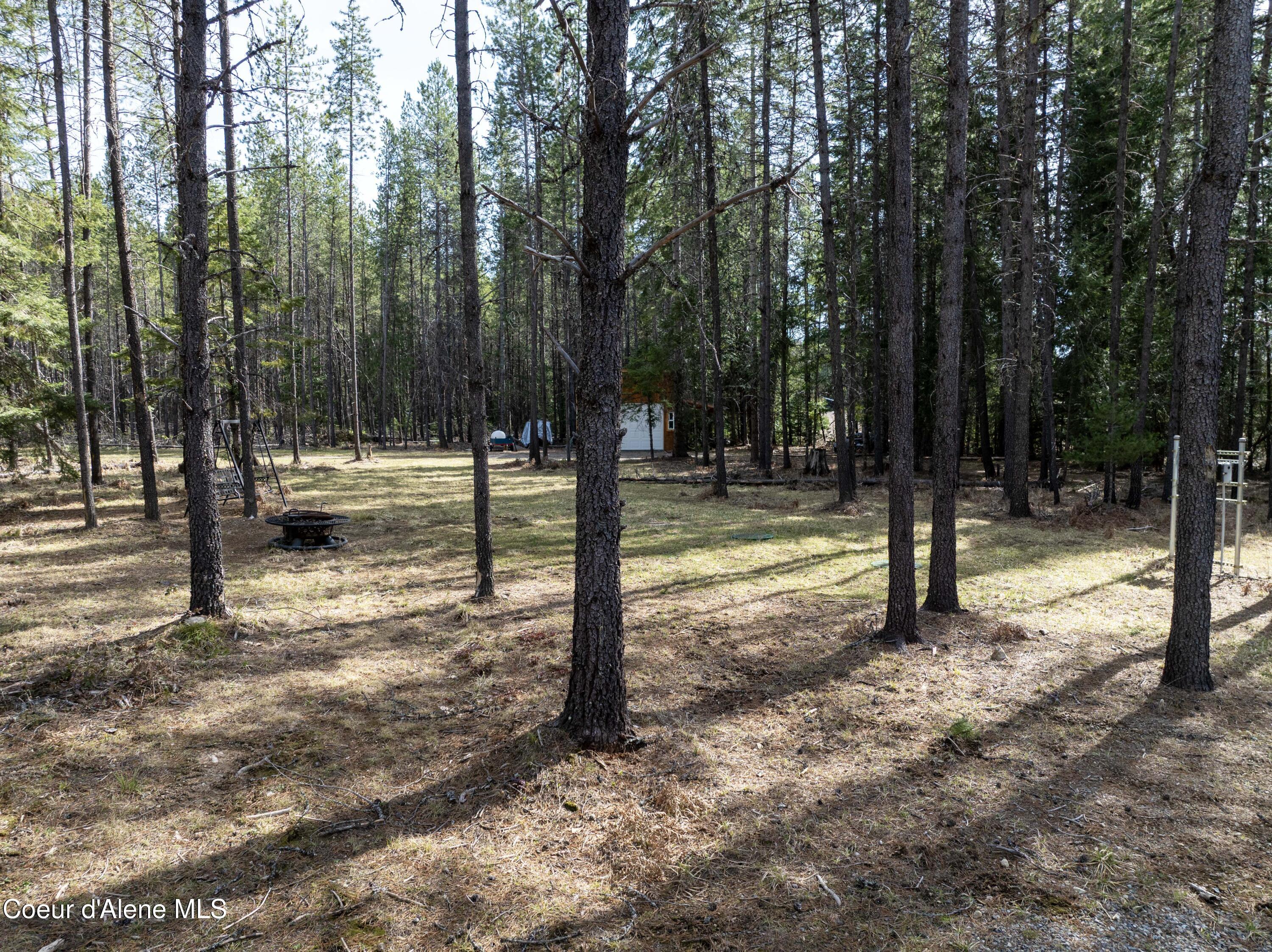 11271 Eastside Road Priest River, ID 83856 - Photo 34 of 39 Treed