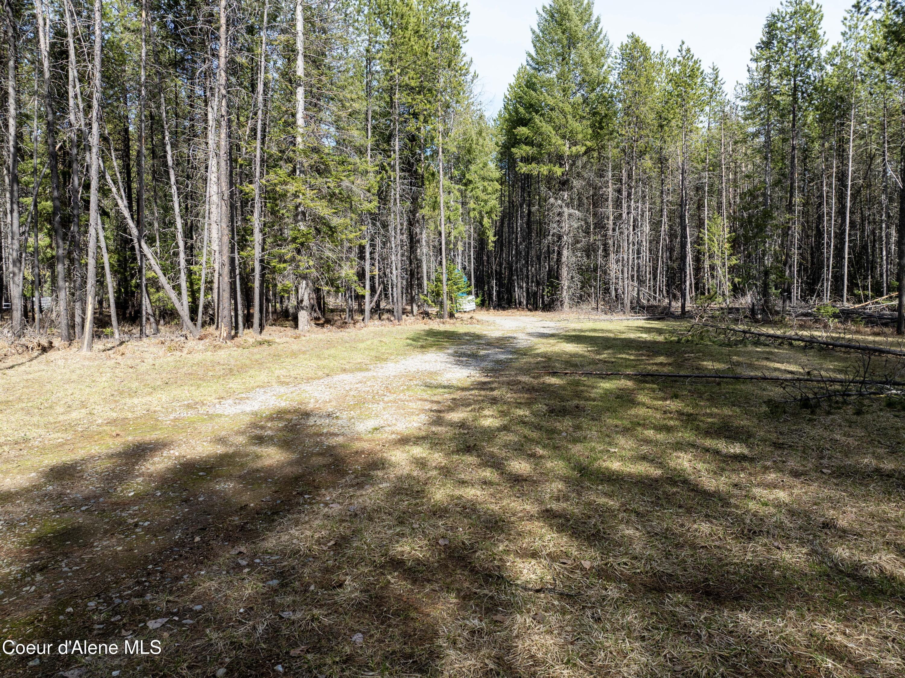 11271 Eastside Road Priest River, ID 83856 - Photo 36 of 39 Road