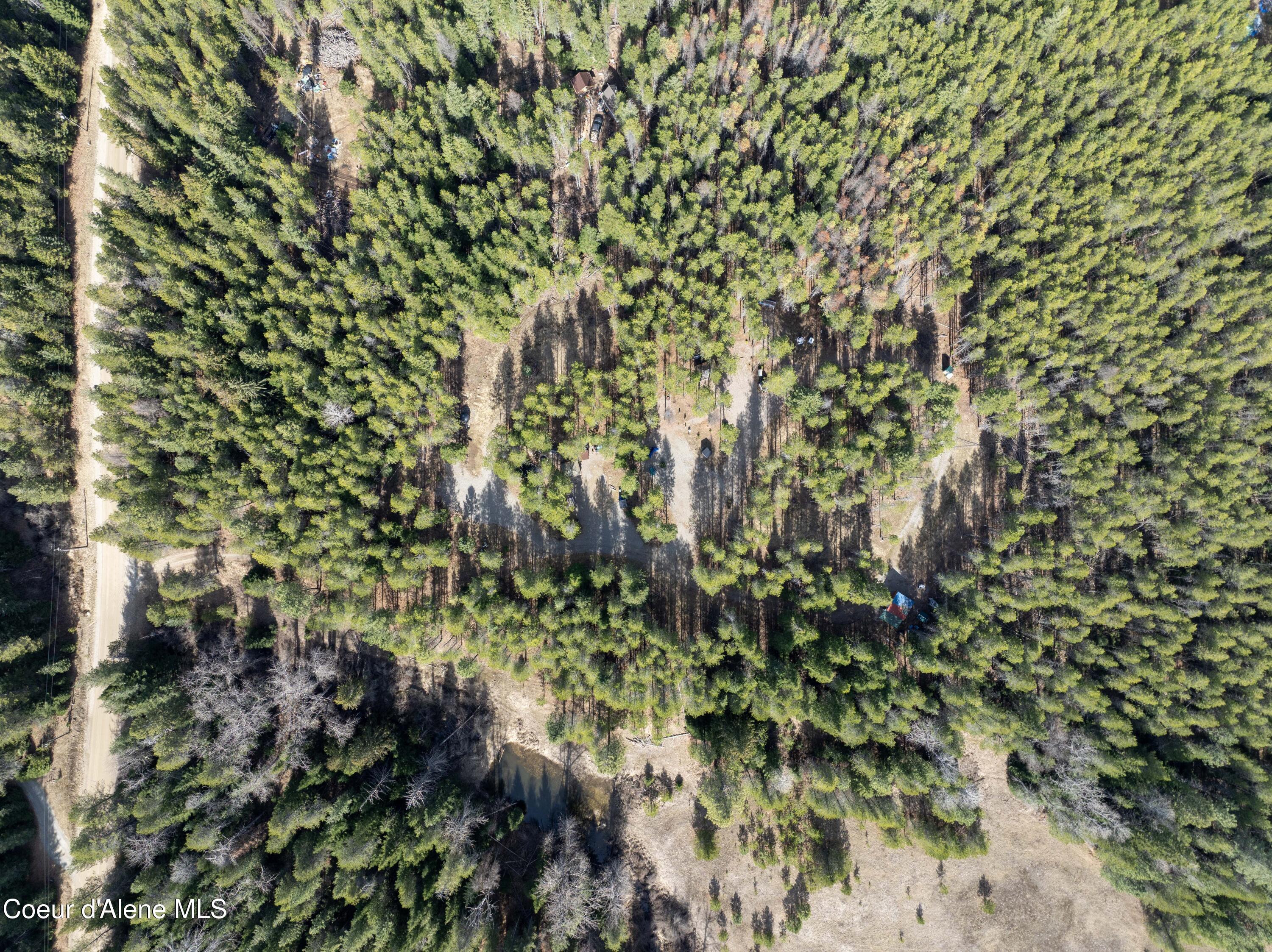 11271 Eastside Road Priest River, ID 83856 - Photo 5 of 39 Nicely Treed