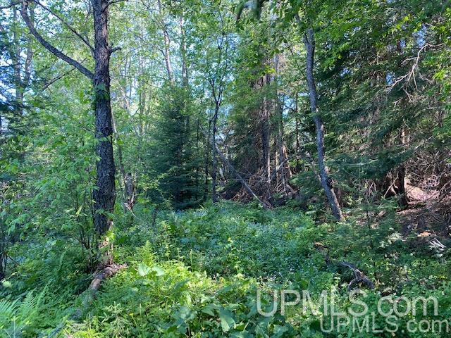 3980 County Road 476 Ishpeming, MI 49849 - Photo 29 of 37