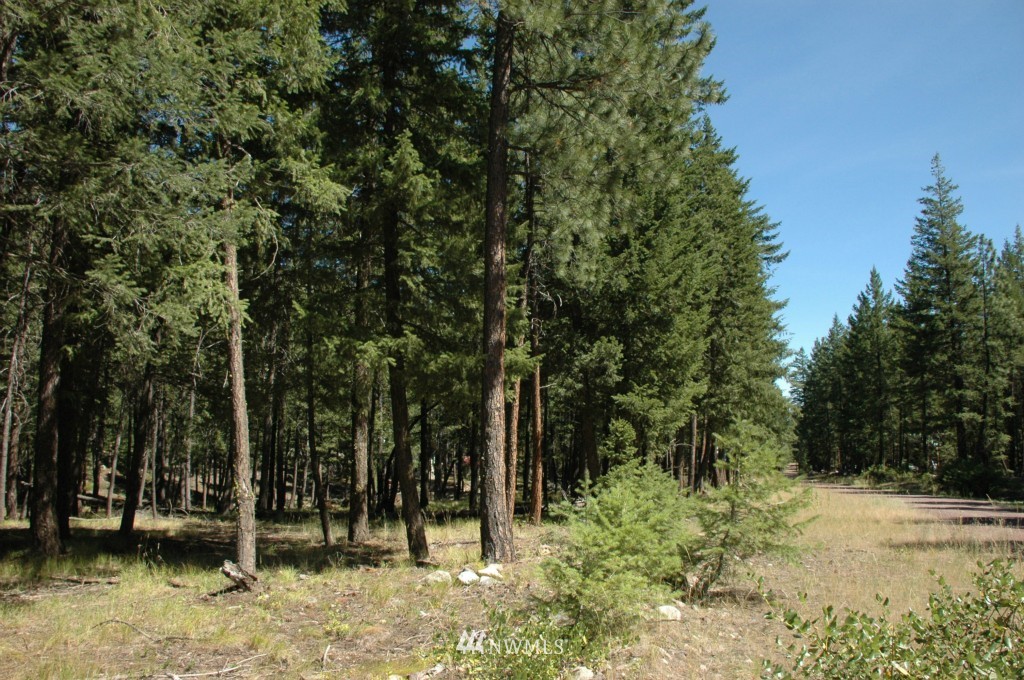 1 Doe Road Mazama, WA 98833 - Photo 1 of 1 Gallery Image 1
