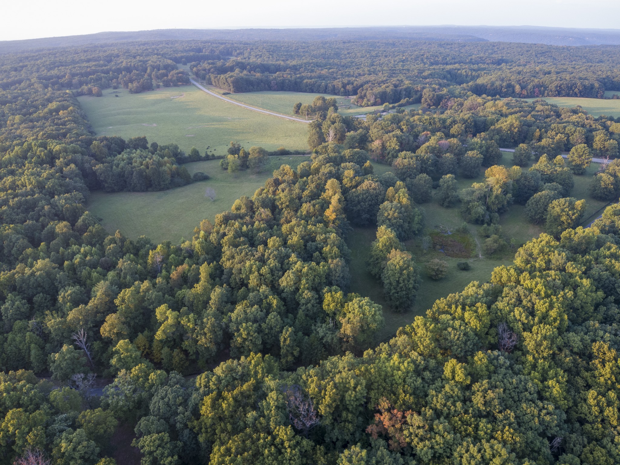 4000 Jumpoff Road Sewanee, TN 37375 - Photo 14 of 68 Gallery Image 14