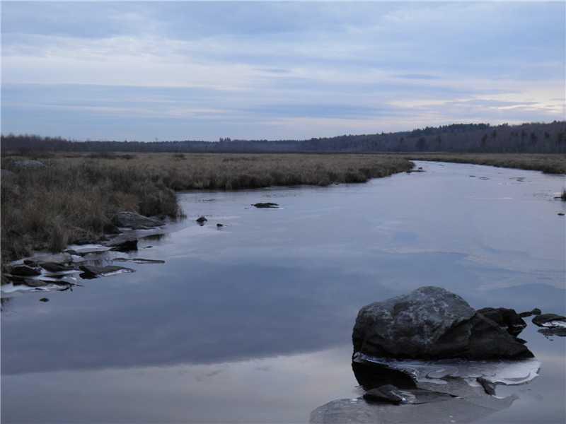 112 Wilson Pond Road Monmouth, ME 04265 - Photo 28 of 34 Other. The huge marsh is home to...