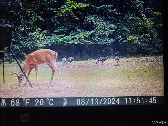 $182,500 | Tbd Wedgewood Road, Eldon, MO 65026