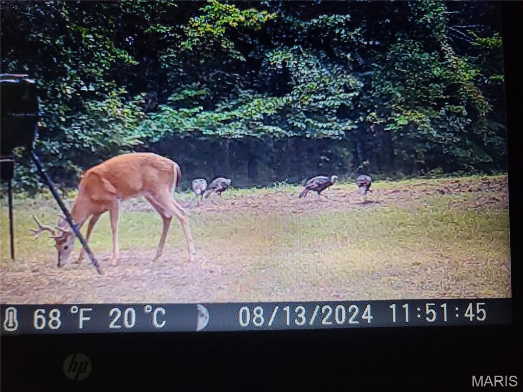 Tbd Wedgewood Road Eldon, MO 65026 - Photo 11 of 29