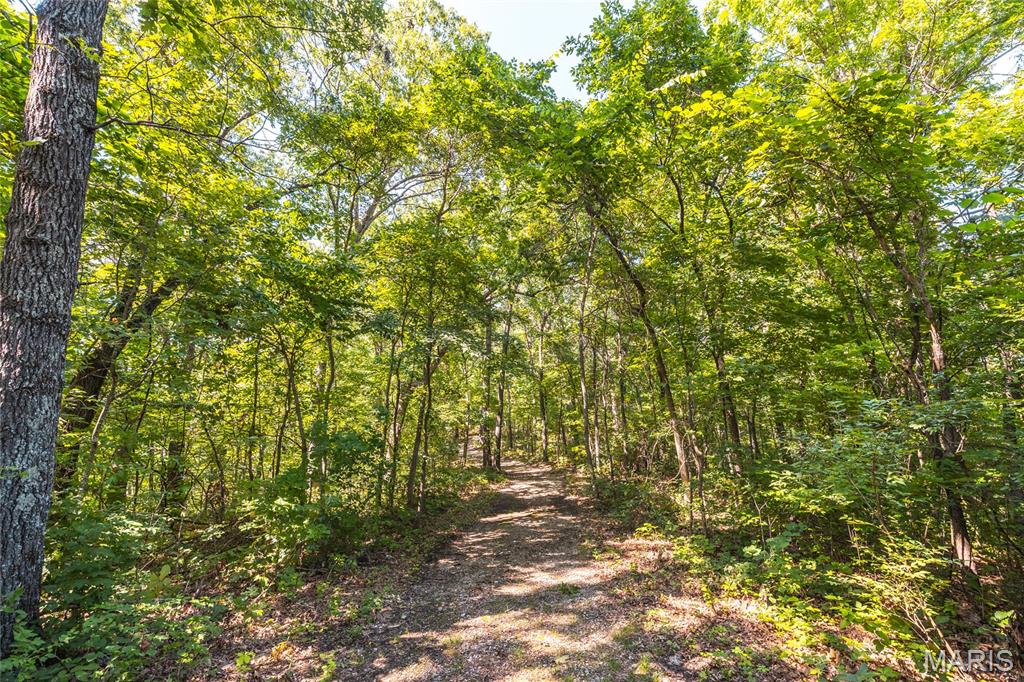 Tbd Wedgewood Road Eldon, MO 65026 - Photo 12 of 29