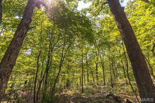 $182,500 | Tbd Wedgewood Road, Eldon, MO 65026