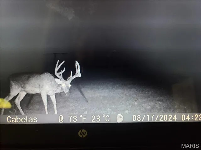 $182,500 | Tbd Wedgewood Road, Eldon, MO 65026