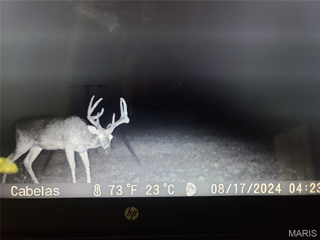 Tbd Wedgewood Road Eldon, MO 65026 - Photo 7 of 29